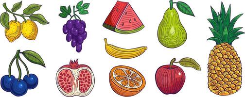 mano disegnato impostato di frutta colorato vettore