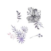 acquerello impostato di mazzi di fiori buio fiori vettore