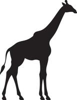 giraffa silhouette vettore illustrazione bianca sfondo