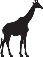 giraffa silhouette vettore illustrazione bianca sfondo