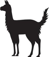 lama silhouette vettore illustrazione bianca sfondo