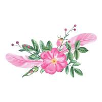 acquerello composizione a partire dal cane rosa fiori, foglie, mini cuffie e rosa piume. botanico mano disegnato illustrazione. vettore