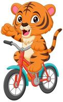 carino tigre equitazione bicicletta cartone animato vettore icona illustrazione. animale sport icona concetto isolato premio vettore