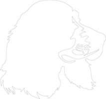 cocker spaniel schema silhouette vettore