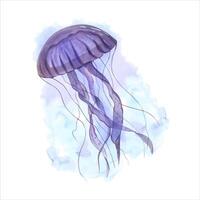 viola Medusa con lungo velenoso tentacoli. galleggiante medusa su blu. acquerello illustrazione. velenoso mare animali. sottomarino pesce. per acquario disegno, logo, etichetta vettore