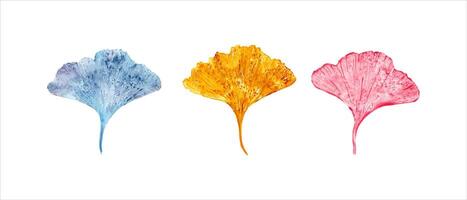 impronte di autunno le foglie nel blu, d'oro, rosa colori. gingko foglia. ginkgo, palma, asciutto astratto le foglie. biloba, esotico pianta. acquerello illustrazione di colorato foglia sagome. vettore