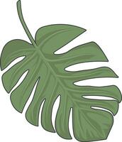 Monstera fiore foglia senza sfondo vettore