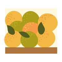 arance frutta biologica vettore