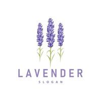 lavanda logo elegante viola fiore pianta illustrazione floreale ornamento design vettore
