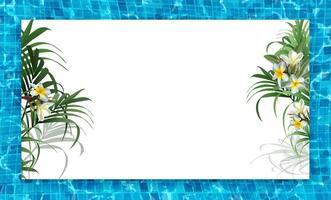 3d realistico vettore illustrazione. piscina festa bandiera con frangipani fiori telaio.
