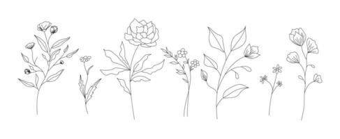 mano disegnato selvaggio campo flora, fiori, foglie, erbe aromatiche, impianti, rami. minimo floreale botanico linea arte. vettore illustrazione per logo o tatuaggio, inviti, Salva il Data carta