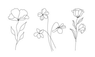 mano disegnato selvaggio campo flora, fiori, foglie, erbe aromatiche, impianti, rami. minimo floreale botanico linea arte. vettore illustrazione per logo o tatuaggio, inviti, Salva il Data carta