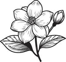 unico fiore colorazione pagine, disegnato a mano vettore illustrazione di un' giardino varietà di gelsomino fiori schema illustrazione, gerdenia fiori parete arredamento, gelsomino fiore arte stampabile modello