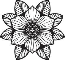 gelsomino fiori colorazione pagina, semplicità, abbellimento, monocromo, vettore arte, schema Stampa con fiori gelsomino fiore, gelsomino mazzo foglie, e mini cuffie, gelsomino fiore tatuaggio disegno