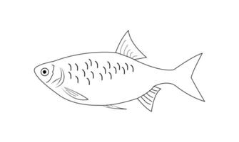 pesce vettore illustrazione. mare animale colorazione libro o pagina per bambini
