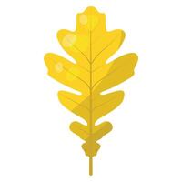 quercia foglia con giallo colore speciale autunno vettore