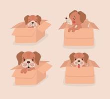 scatole con cuccioli vettore