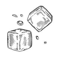 ghiaccio cubo vettore illustrazione. mano disegnato grafico clipart impostato su bianca isolato sfondo. lineare disegno di acqua gocce. zucchero bloccare schema schizzo. nero linea arte per menù design