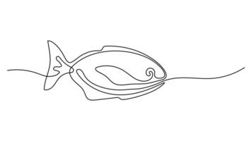 uno linea arte pesce design silhouette. mano disegnato schema logo o minimalista stile menù decorazione elemento. vettore