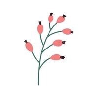 manoscritto primavera fiori collezione con le foglie. impostato di mano disegnato estate floreale botanico elementi. scarabocchio elegante minimalista design per decorazione vacanza carte, manifesti. vettore