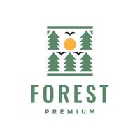 foresta pini alberi semplice stile con uccelli colonia e tramonto logo design vettore icona illustrazione