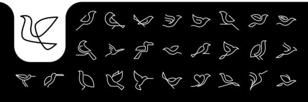 uccello Linee minimo moderno impostato icona logo design vettore