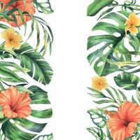 tropicale palma foglie, Monstera e fiori di plumeria, ibisco, luminosa succoso. mano disegnato acquerello botanico illustrazione. modello, telaio isolato a partire dal il sfondo vettore