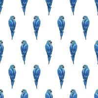 tropicale seduta luminosa succoso blu-giallo ara pappagallo. mano disegnato acquerello botanico illustrazione. senza soluzione di continuità modello su un' bianca sfondo. vettore