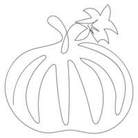 maturo zucca continuo linea disegno vettore