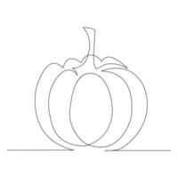 maturo zucca continuo linea disegno vettore