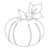 maturo zucca continuo linea disegno vettore