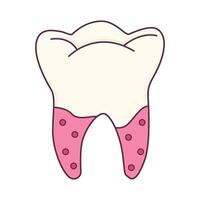 illustrazione del dente vettore