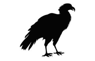 grande grifone avvoltoio silhouette isolato su un' bianca sfondo, un' volante grifone avvoltoio becco nero vettore