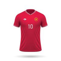 3d realistico calcio maglia Vietnam nazionale squadra 2024 vettore