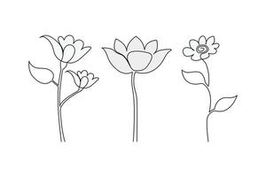 continuo linea singola fiori impostare, floreale, botanico, rosa, e minimalista fiori disegno schema arte vettore