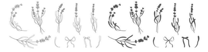 lavanda rami. mano disegnato botanico illustrazioni nel lineare stile. vettore