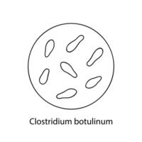 patogenicità batteri. batterico microrganismo. microbiologia, infografica. mano disegnato scarabocchio stile. vettore