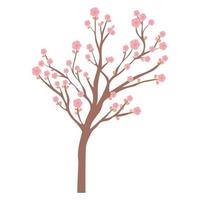 disegno dell'albero di sakura