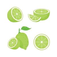 frutti di lime fette di agrumi isolati limoni verdi freschi vitamina c illustrazione vettoriale agrumi limone succo di lime maturo frutta cibo