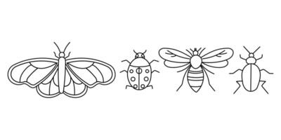 impostato linea insetto scarafaggio, la farfalla, ape, coccinella vettore
