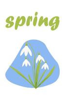 vettore illustrazione di bucaneve e il lettering primavera. il primo primavera fiori.