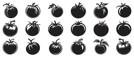 pomodoro icona nero naturale cibo vettore design illustrazione.