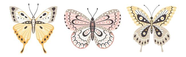 impostato di tre colorato farfalle, vettore illustrazione. volare insetto Ali con astratto ornamento, davanti Visualizza, un' simbolo per tatuaggio design. estate sfondo