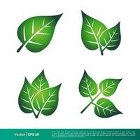 verde foglia icona vettore logo modello illustrazione design. vettore eps 10.