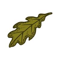naturale tropicale quercia foglia vettore logo modello illustrazione eps 10