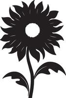 girasole silhouette vettore illustrazione bianca sfondo