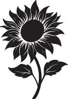 girasole silhouette vettore illustrazione bianca sfondo