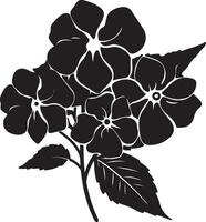 ortensia fiore silhouette vettore illustrazione bianca sfondo