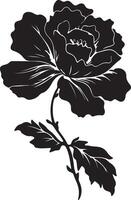 begonia fiore silhouette vettore illustrazione bianca sfondo