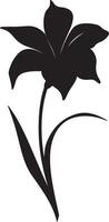 narciso fiore silhouette vettore illustrazione bianca sfondo